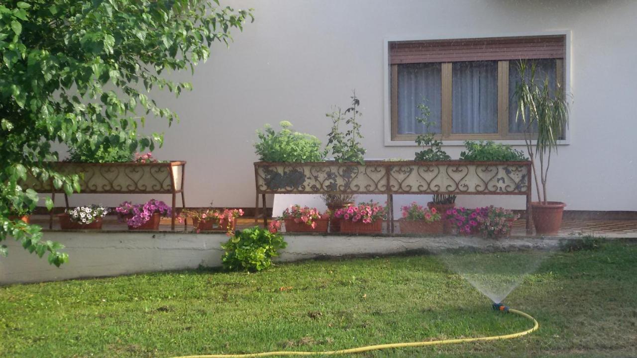 Hotel Le Vigne Contigliano Eksteriør billede